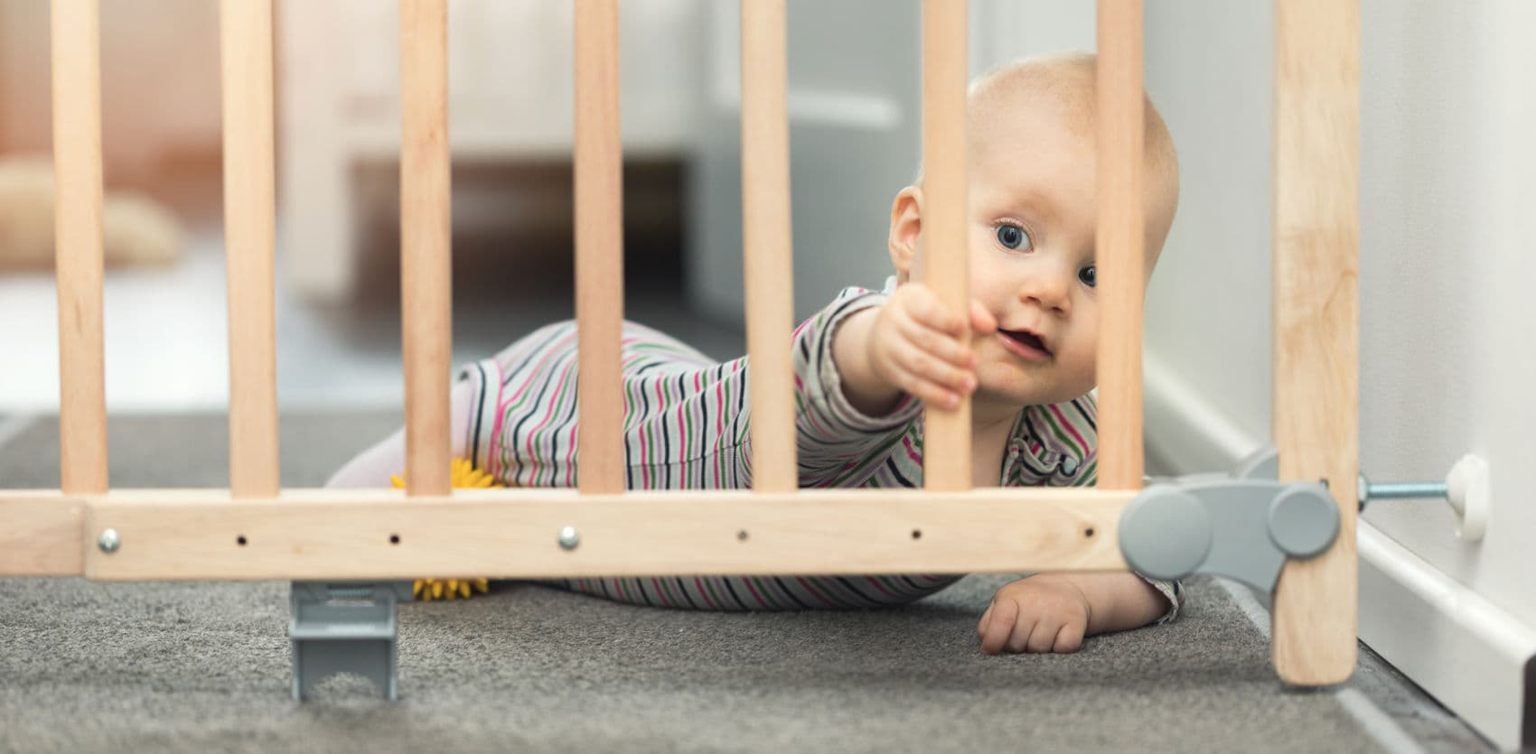 منتجات الحماية